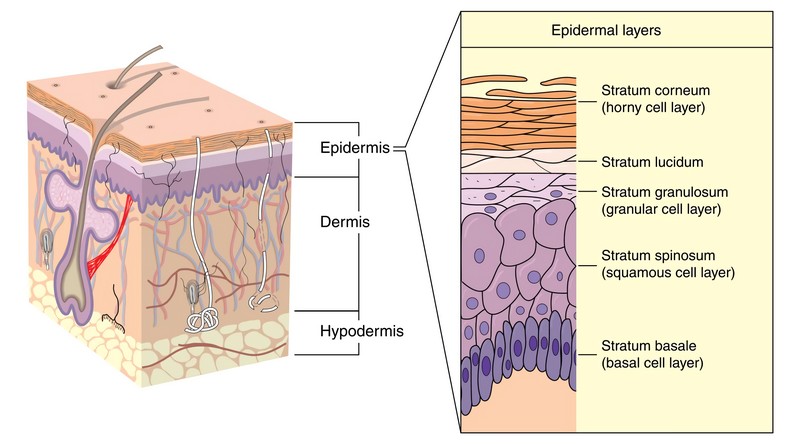 what is qinlan skin barrier repair system 3